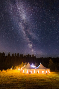Milky Wedding