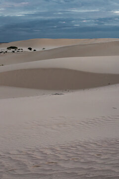 Tranquil Desolation