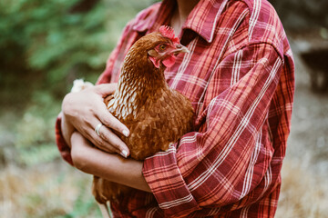 chicken hug