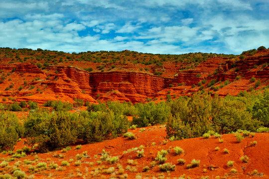 USA, New Mexico. Jemez Mountains landscape.