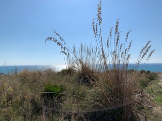 Obraz premium seashore