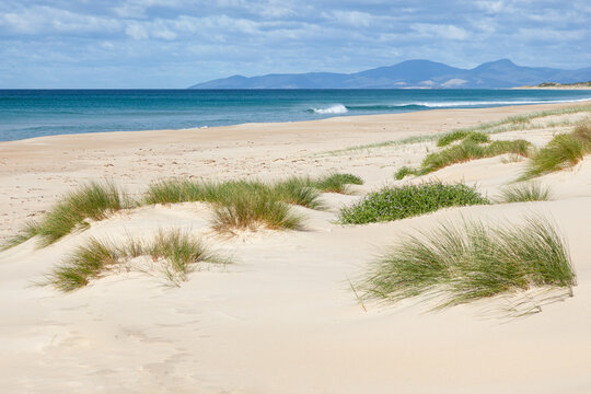Peron Dunes. Tasmania. Australia.