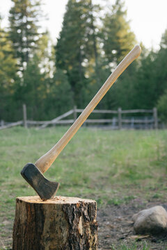 Felling Axe Stuck In A Stump