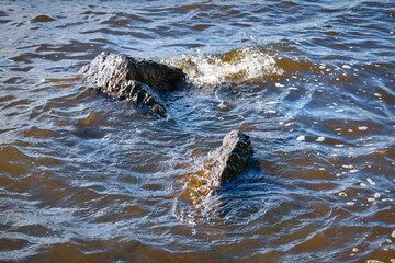 Fototapeta premium Waves near the lake shore close-up. Water surface in windy weather.