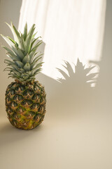 Pineapple, a Ripe, Fresh Fruit Food, Whole, Isolated on White summer sun light with shadow ,  side view - 420588687