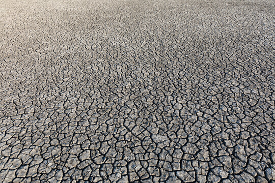 Dried earth surface background