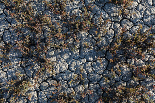 Dried earth surface background