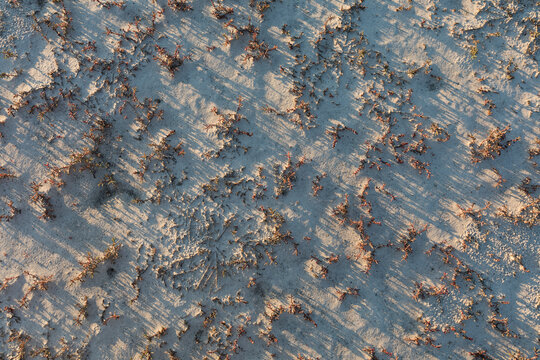 Dried earth surface background