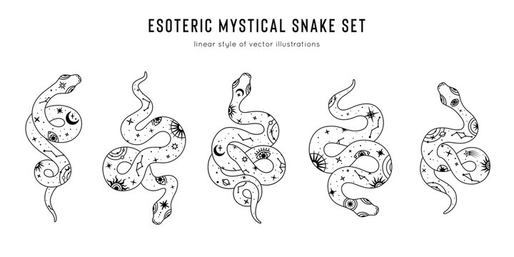 Vector snake set of mystical magic objects- moon, eyes, constellations, sun and stars. Spiritual occultism symbols, esoteric objects.