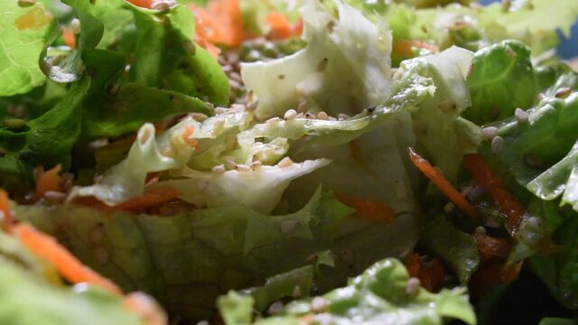 Insalata con gomasio ft0211_0690 ごま塩