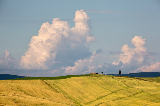 Tuscany Landescape