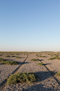 Car tracks trough the dry land