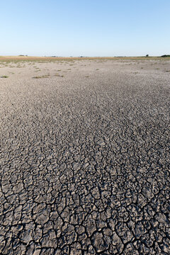 Dry land