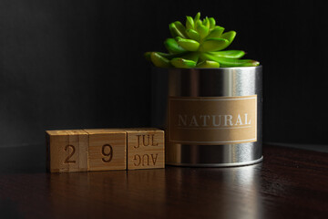 June 29. Image of the calendar June 29 wooden cubes and an artificial plant on a brown wooden table reflection and black background. with empty space for text