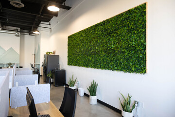 Living Wall in A Co-Working Space