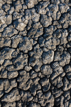 Dried earth surface background