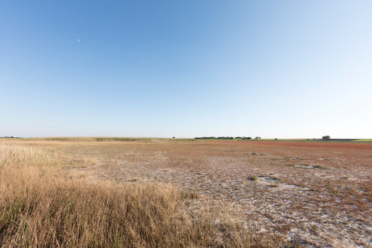 Landscape of a salt marsh