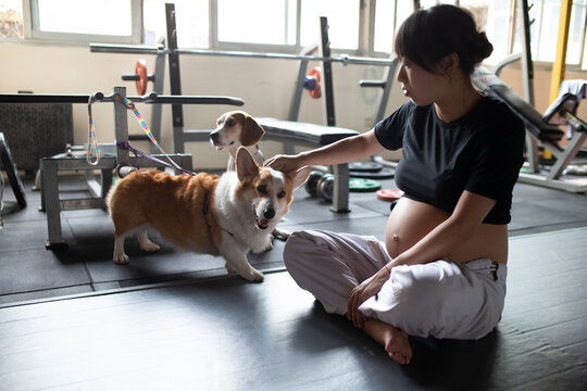 pregnant Chinese woman sitting on floor with her dog in the gym