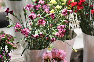 Piękne kwiaty w kwiaciarni na wrocławskim rynku. Dzień kobiet. 