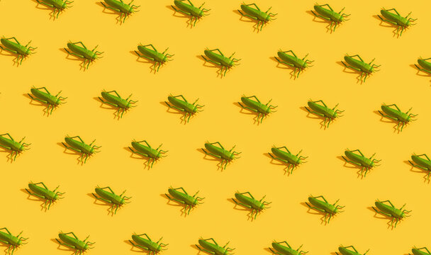 Grasshoppers