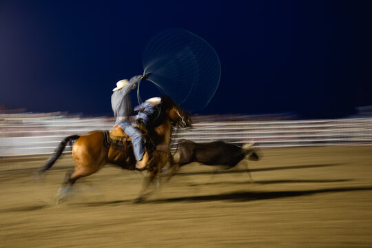 Roping Cowboy
