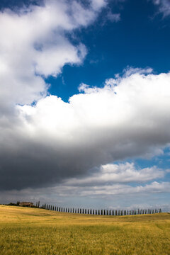 Tuscany Landescape