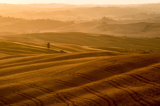 Tuscany Landescape