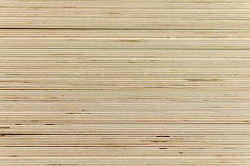 Sheet plywood is stacked in rows.