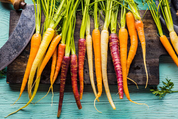 Bunch of freshly picked rainbow carrots  - Powered by Adobe