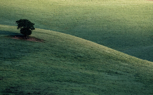 Tuscany Landescape