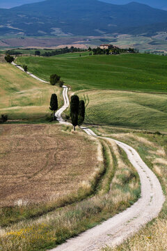 Tuscany Landescape