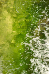 green water background