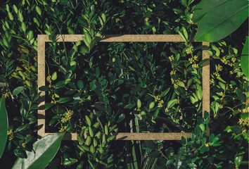 Creative nature background with green leaves. Minimal spring or summer abstract forest pattern. Gold frame copy space.