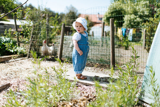 little girl in the garden with chickens in the background
