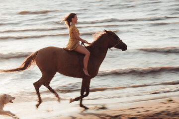 Portraits of a young woman riding horse on a summer day