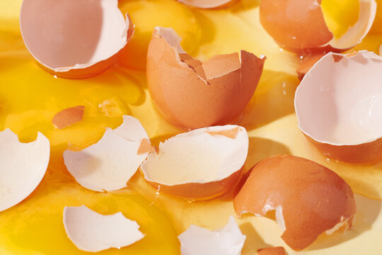 Eggs with Broken Shells