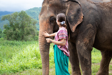 Girl stroking an elephant - North of Chiang Mai, Thailand. A girl is stroking an elephant in a sanctuary for old elephants. - obrazy, fototapety, plakaty