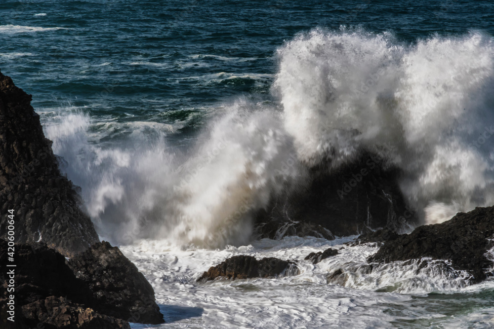 Canvas Prints USA, Oregon, Newport. Waves breaking on rocks.