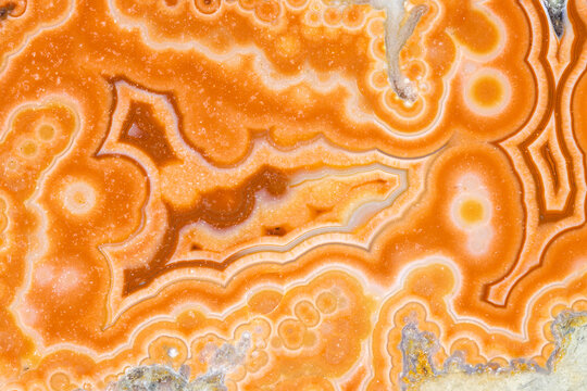 Agate Nodule Closeup