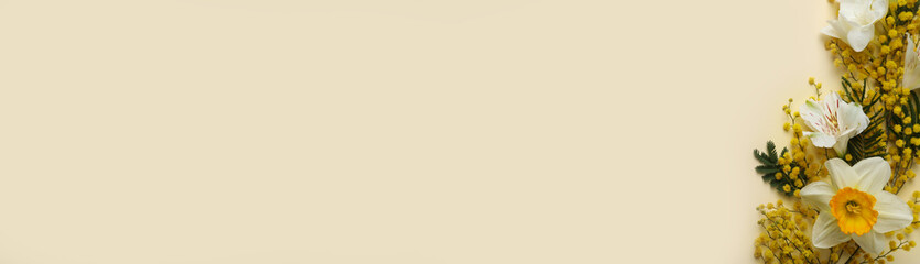 Obraz premium Beautiful floral composition with mimosa flowers on beige background, flat lay. Space for text