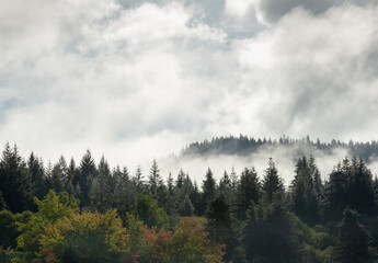 Fototapeta na wymiar USA, Oregon. Foggy morning landscape.