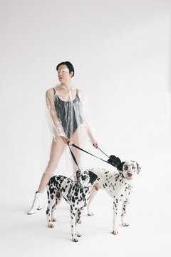 Two Dogs with Girl