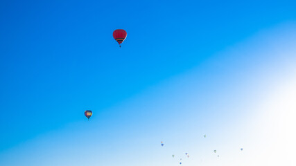 大崎市バルーンフェスタ