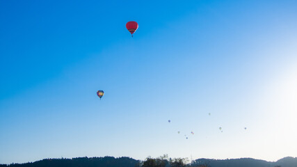 大崎市バルーンフェスタ