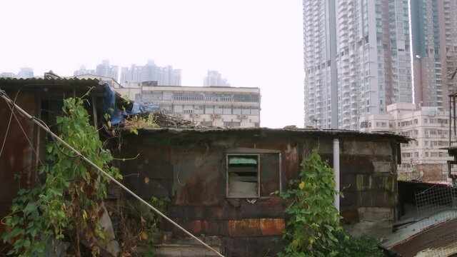 Static camera shooting of a miserable shack made with metal sheets and partly covered in vegetation on the rooftop of a Hong Kong building.
