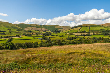 Obraz premium Welsh Countryside 