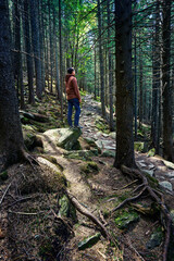Man with hiking equipment walking in forest