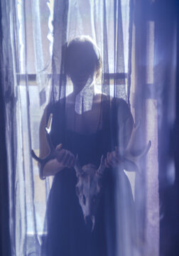 ghost