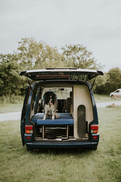 Camping Trip
