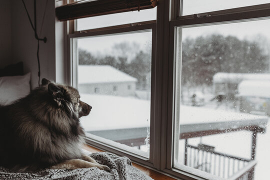 Snow day